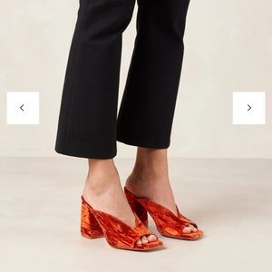 ❗️SOLD ❗️Aloha’s Frenchie Mules — Orange Velvet